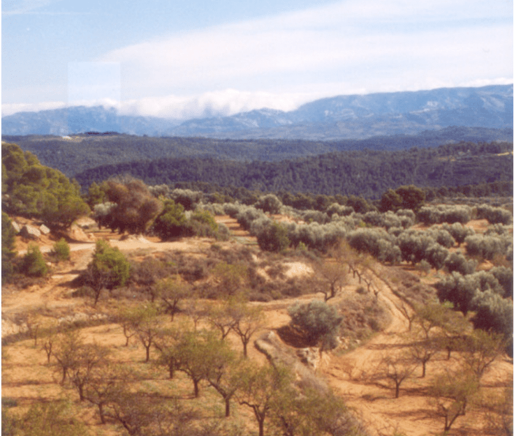 captura-de-pantalla-2017-02-25-a-las-22-55-31